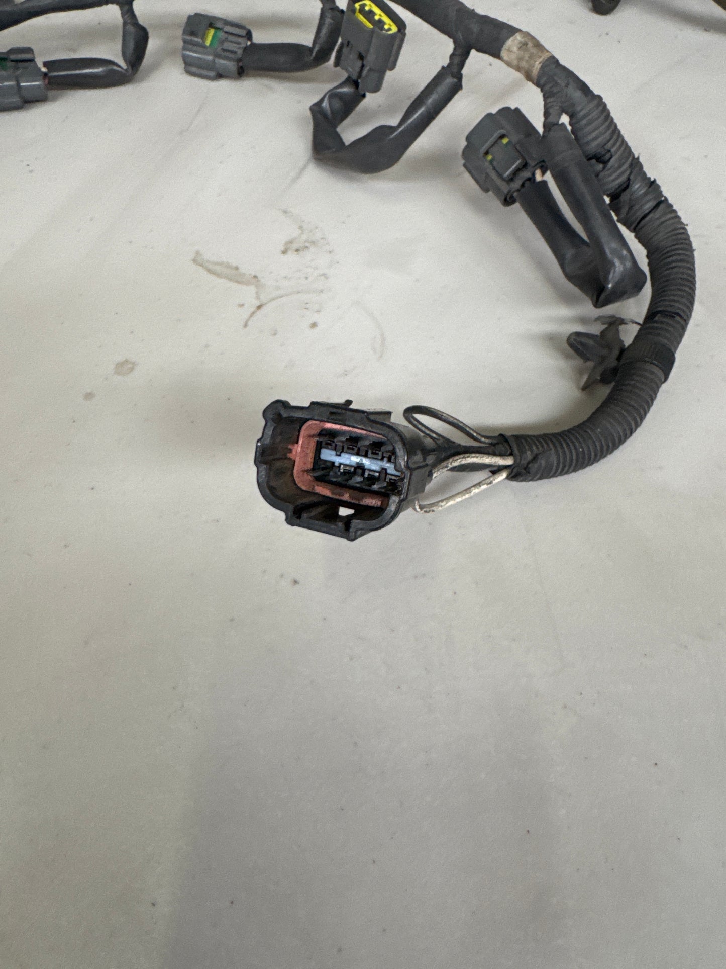 R33 S2 RB25 Coil Pack Loom